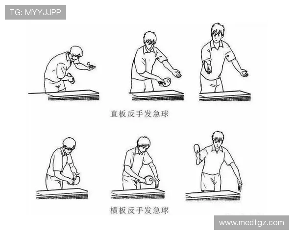 乒乓球新手必看:从基础技巧到实战训练的全面入门指南 乒乓球新手必看:从基础技巧到实战训练的全面入门指南