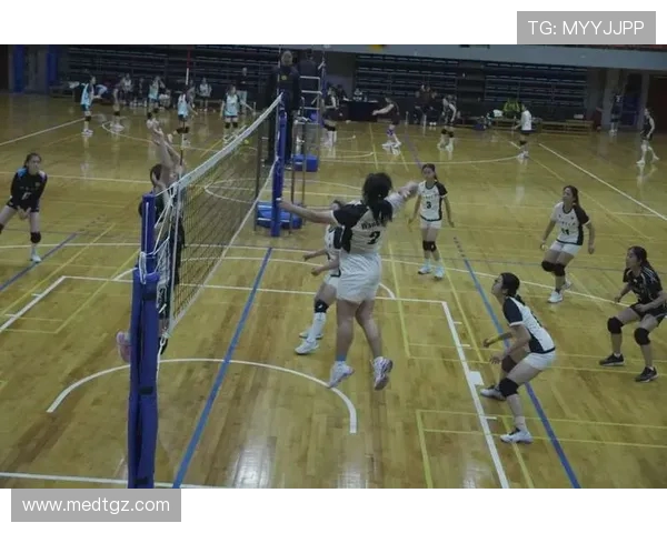 排球精神之旅:深入成都排球队心理素质的奥秘与挑战 排球精神之旅:深入成都排球队心理素质的奥秘与挑战