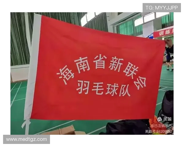 武汉羽毛球队防反战术革新探讨与实践成果分析