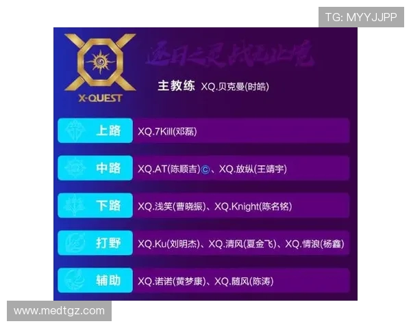 王者荣耀战术解析：深入探讨LNG战队的区域防守策略与执行