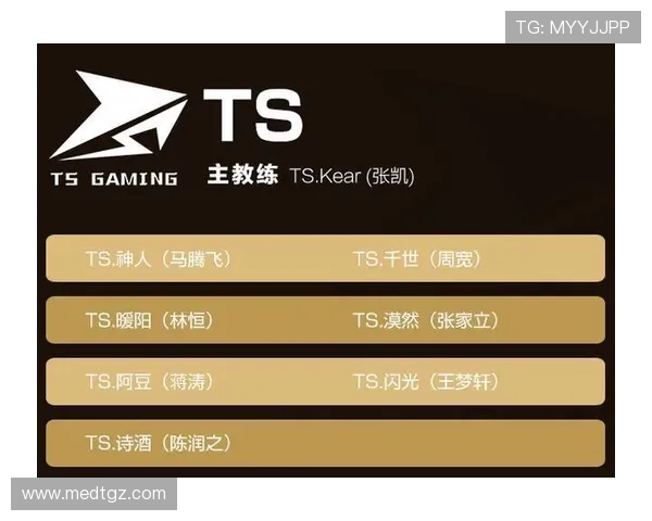 王者荣耀耐力排行榜更新TES战队表现卓越位居第一