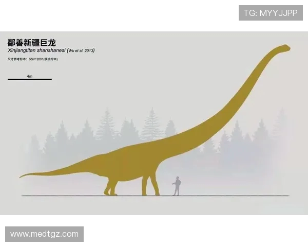 探索弗格的魅力与影响力揭示其在现代文化中的独特地位与价值