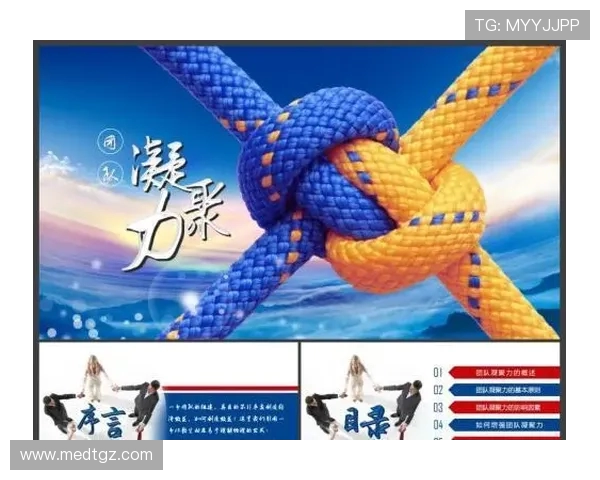 杭州排球队选拔赛点评团队协作展现出色凝聚力与默契配合 杭州排球队选拔赛点评团队协作展现出色凝聚力与默契配合